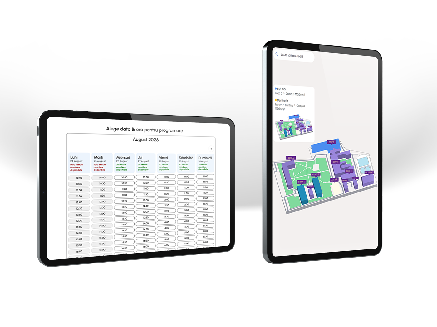 Custom software project preview