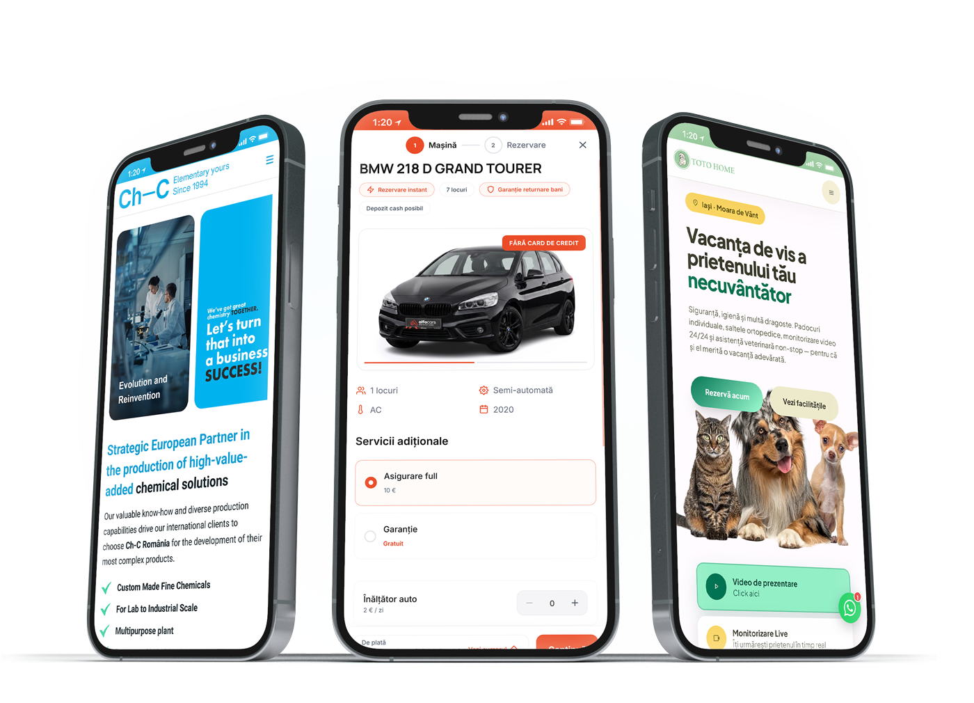 Presentation website project preview